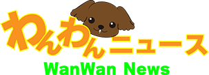 わんわんニュース